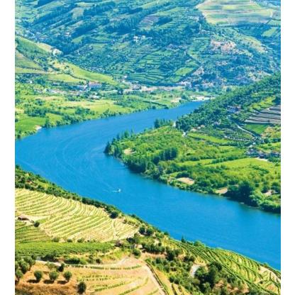 Viagem por Portugal - As castas do Douro