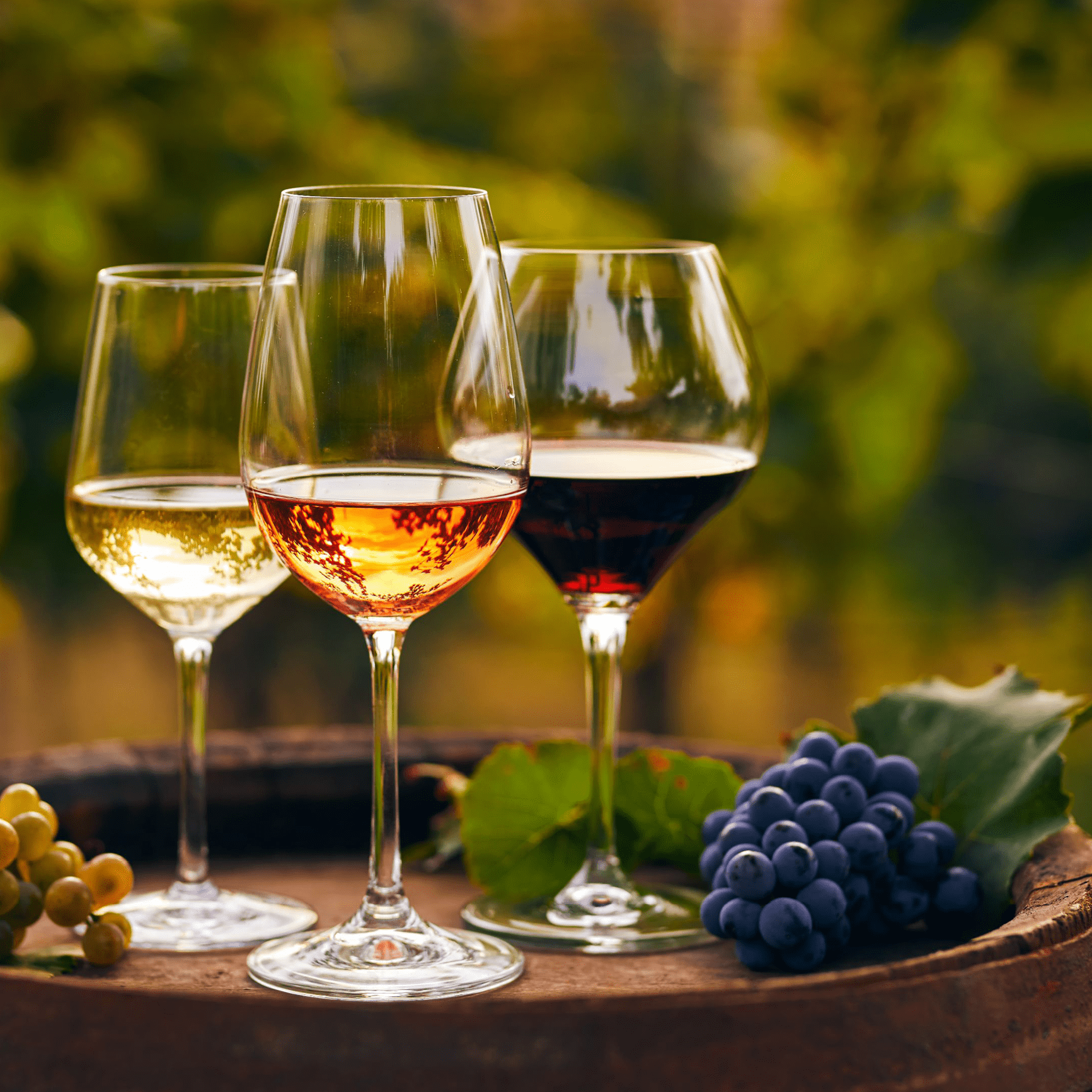 Tinto, branco e rosé: quais as principais diferenças?