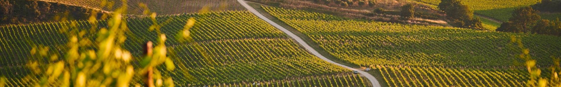 Quinta da Anunciada Velha