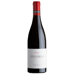 Forjas del Salnès Goliardo Caiño