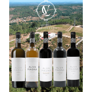 Pack Vinhos Quinta Vale do Cesto